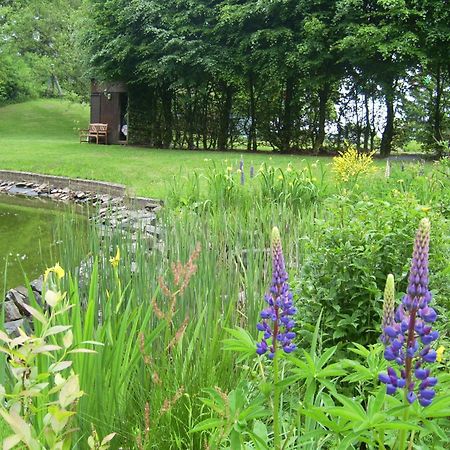 Farm Stay Heidehof Hellenthal Kültér fotó