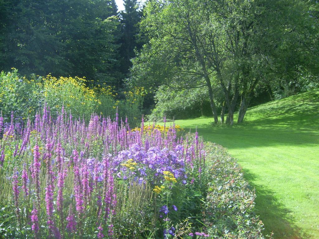 Farm Stay Heidehof Hellenthal Kültér fotó