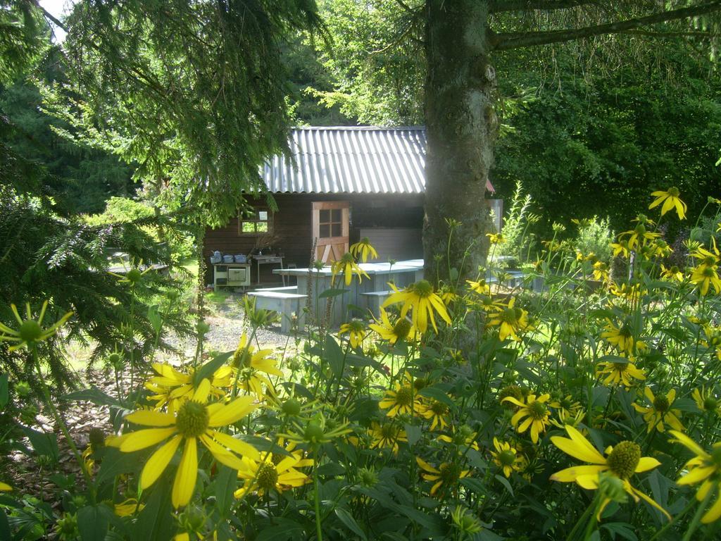 Heidehof Hellenthal Villa Kültér fotó